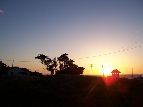 Pacific Sunset (palo-alto_100_8102.jpg) wird geladen. Eindrucksvolle Fotos von der Westküste Amerikas erwarten Sie.